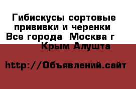 Гибискусы сортовые, прививки и черенки - Все города, Москва г.  »    . Крым,Алушта